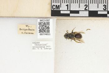Media type: image;   Entomology 774011 Aspect: Labels